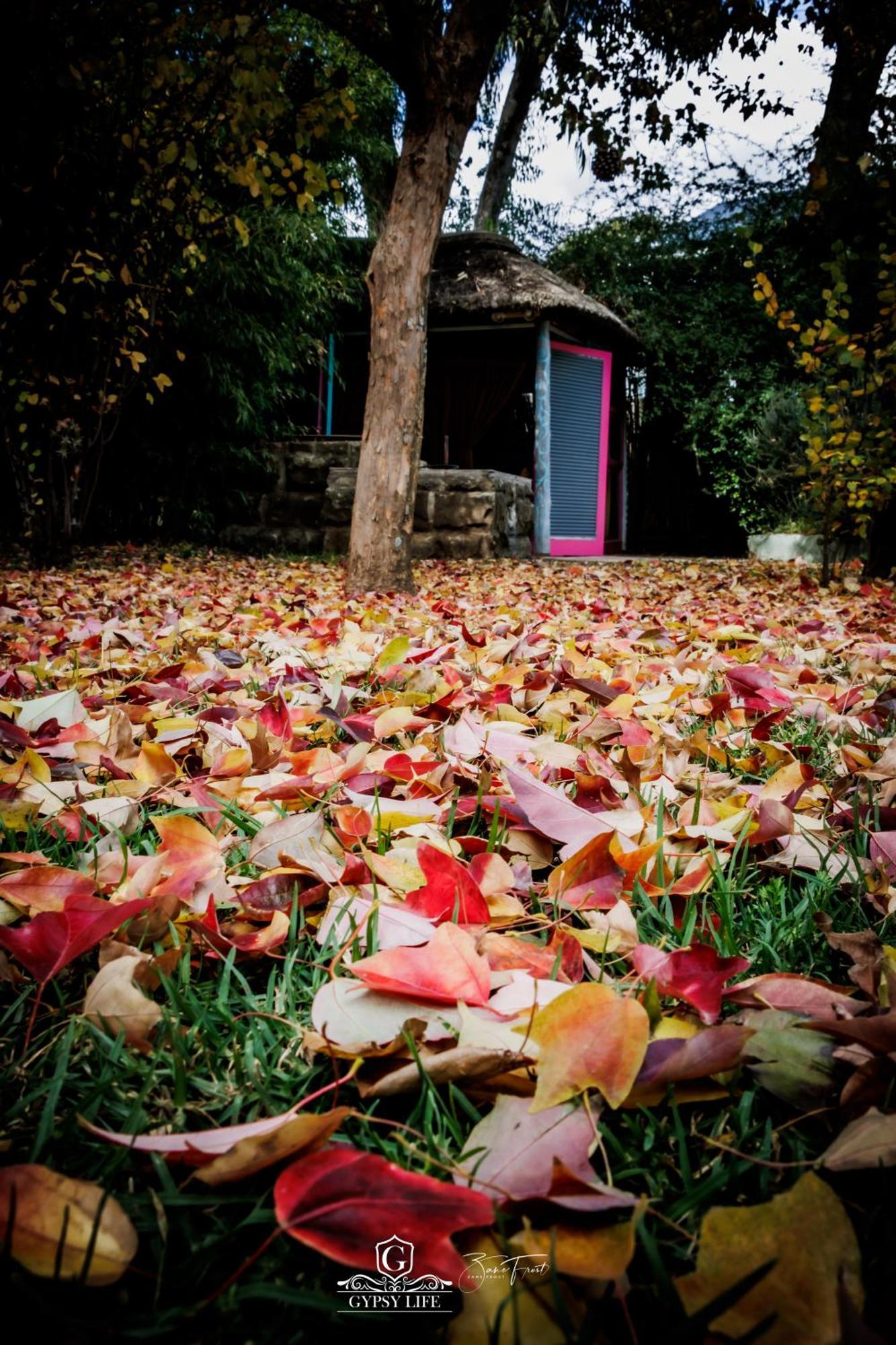 Gypsy Guest House Clarens Esterno foto